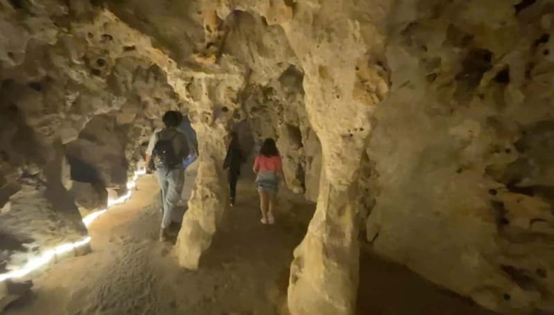 Sintra:Quinta da Regaleira Entry Ticket with Interactive App - Key points / Takeaways