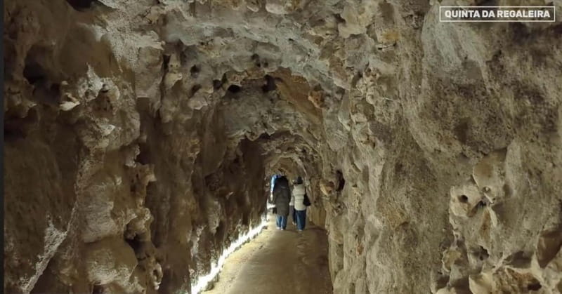 Sintra:Quinta da Regaleira Entry Ticket with Interactive App - The Architectural and Symbolic Highlights