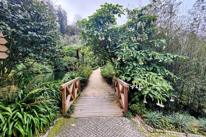 Sintra's Mystical Palaces: Private Walking Tour - Key points / Takeaways