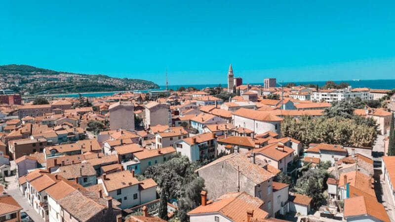 Sip & Step: A Flavorful Walk Through Koper's History - Key Points and Takeaways