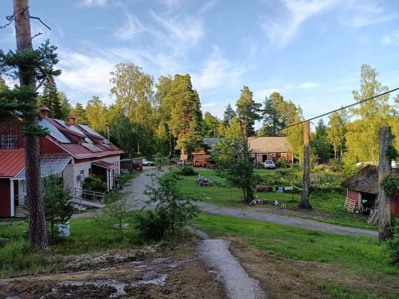 Sipoo: Biodynamic farm visit with lunch - A Natural Escape in Sipoo: Biodynamic Farm Visit with Lunch