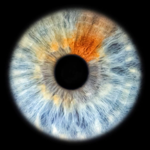 Siracusa Iris Photography Experience - Discover the Magic in Your Eyes: The Syracuse Iris Photography Experience