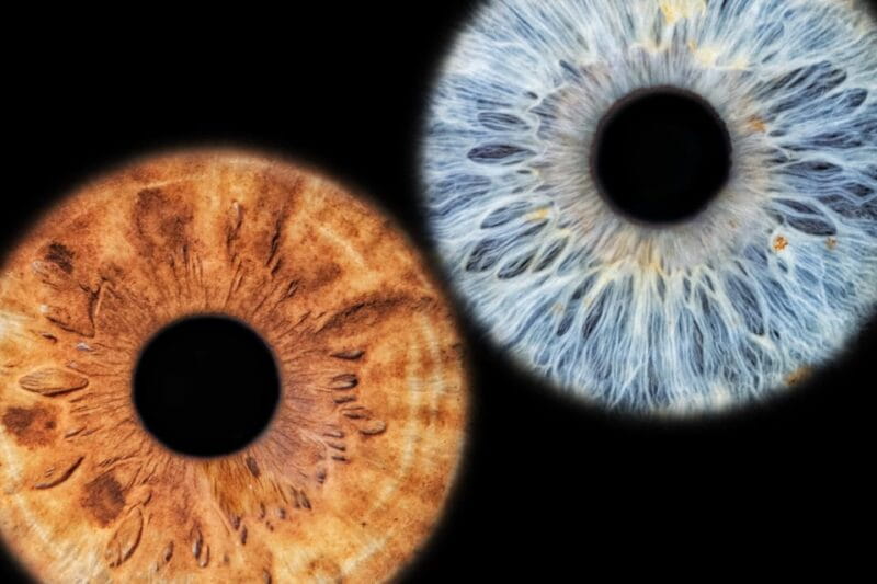 Siracusa Iris Photography Experience - Practical Details and Tips