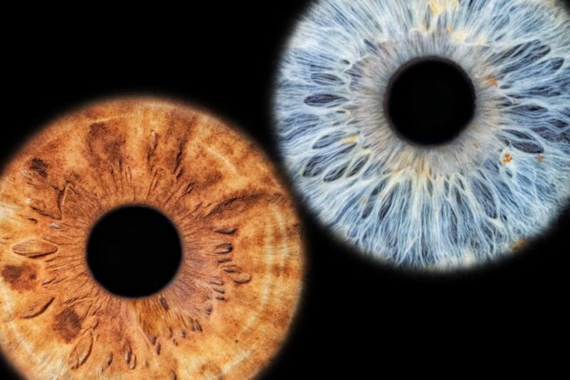 Siracusa Iris Photography Experience - Final Thoughts