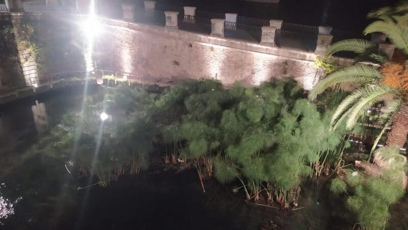 Siracusa Tour: Ortigia by Night in English - Key Points and Takeaways