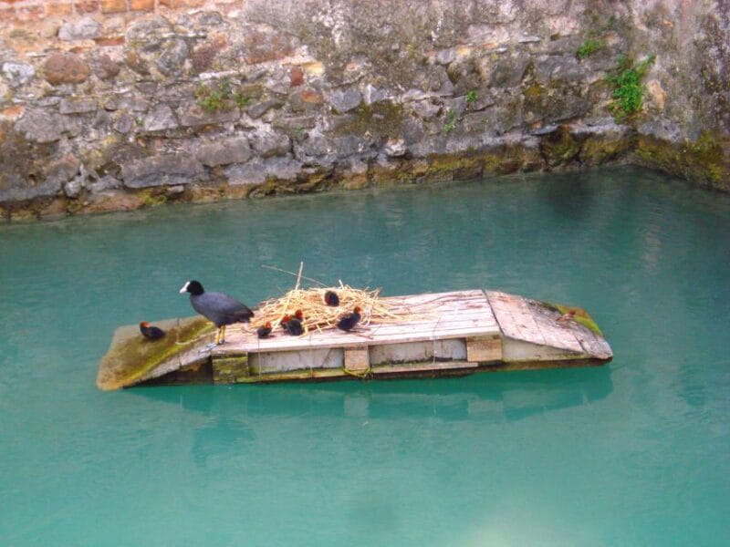 Sirmione private tour: on the shores of lake Garda - Final Thoughts