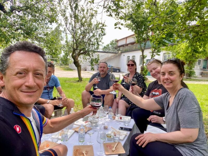 Sirmione: Vineyard Tour with Lugana Wines and Local Tastings - Key points / Takeaways