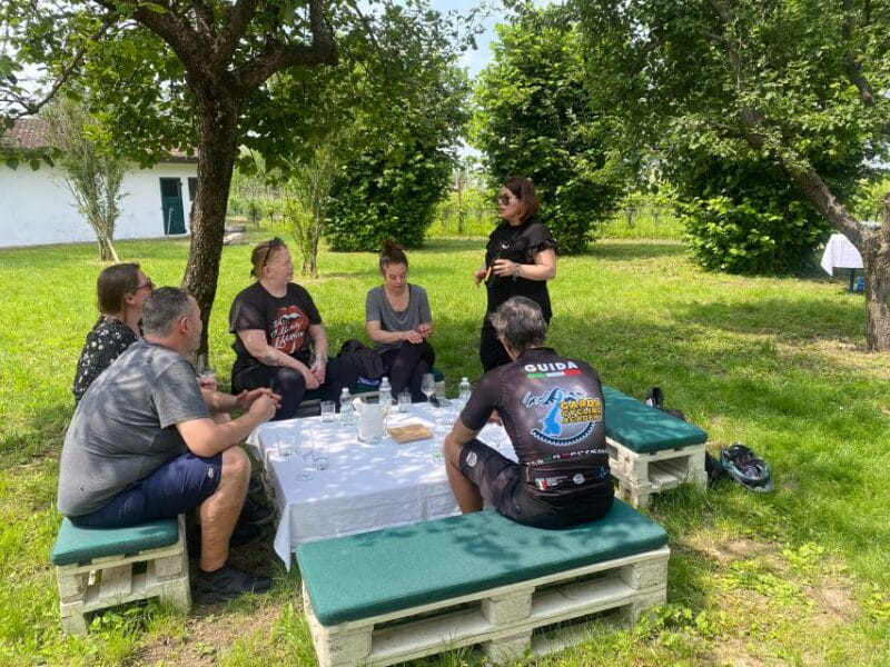 Sirmione: Vineyard Tour with Lugana Wines and Local Tastings - Practical Tips for Your Visit