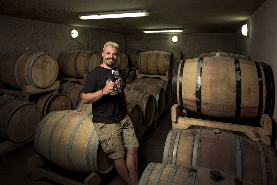 Šišan: Organic Winery Tour and Tasting Experience - Accessibility and Inclusions