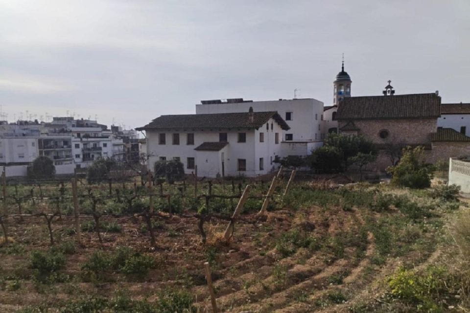 Sitges: Sailboat Trip + Walking Tour and Wine Cellar Tour - Highlights of the Experience