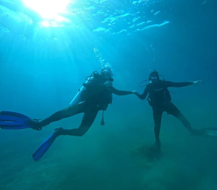 Sithonia: Half-Day Scuba Diving 2 Guided Shore Dives - Key Points / Takeaways