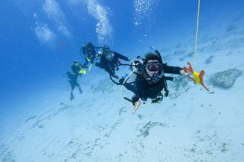 Sithonia: Half-Day Scuba Diving 2 Guided Shore Dives - An In-Depth Look at the Experience