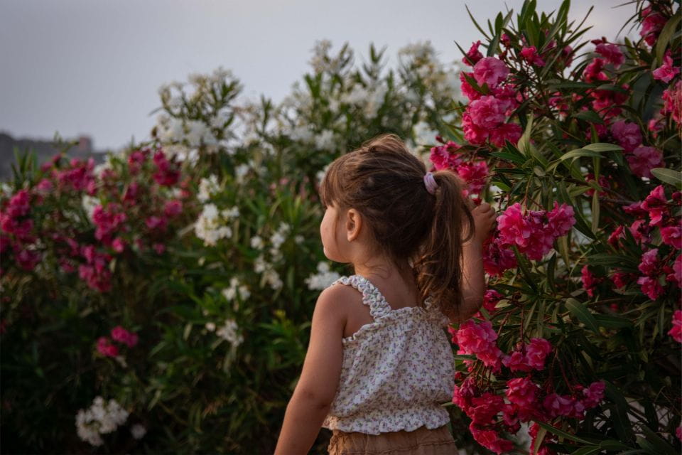 Sithonia : Holiday Photoshoting Keep Yours Memory for Ever . - Capturing Holiday Moments