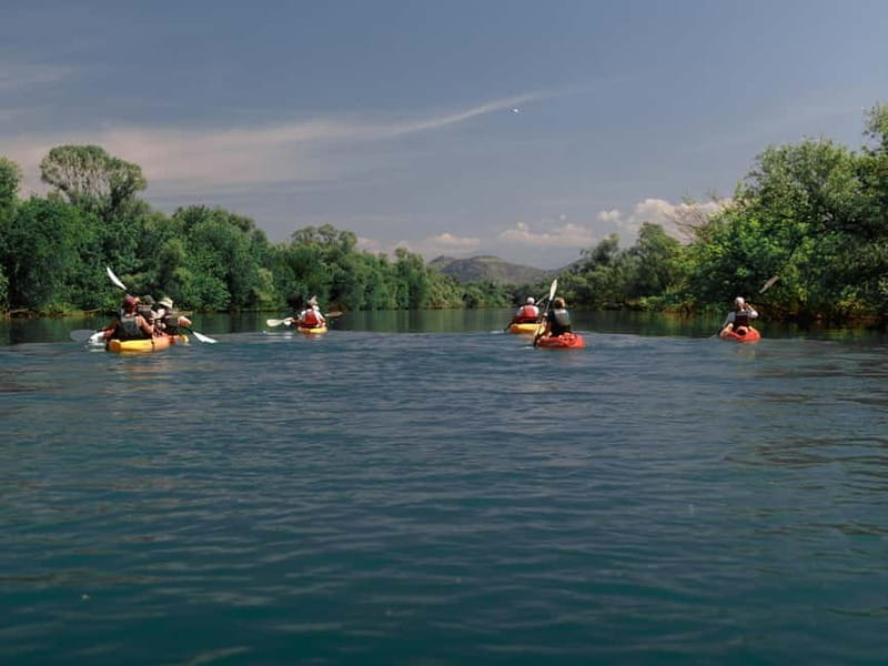 Skadar Lake: 4-Hour Guided tours on Kayak - Entering The Lake: From Vranjina to the Water’s Edge