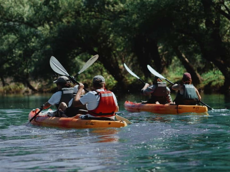 Skadar Lake: 4-Hour Guided tours on Kayak - Cultural Encounters and Local Flavors