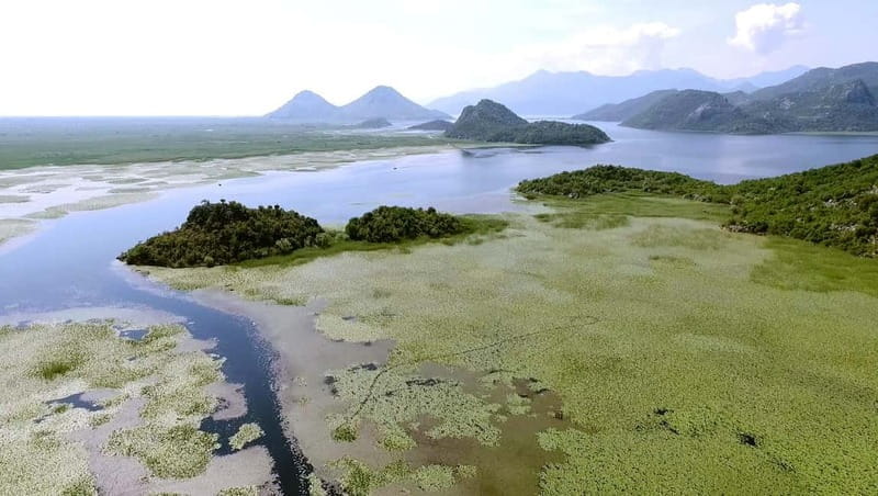 SKADAR LAKE: A national park with amazing flora and fauna! - Key Points / Takeaways