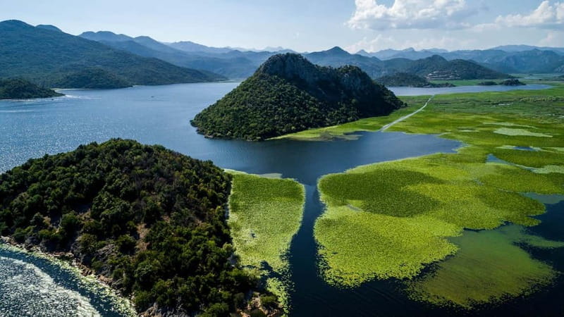 Skadar Lake Boat Tour with Transfer from Podgorica - Returning to Podgorica: Comfort and Convenience