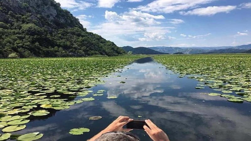 Skadar Lake: Discover the Extraordinary with Our Boat Tours - Discover the Beautiful Skadar Lake with a Scenic Boat Tour