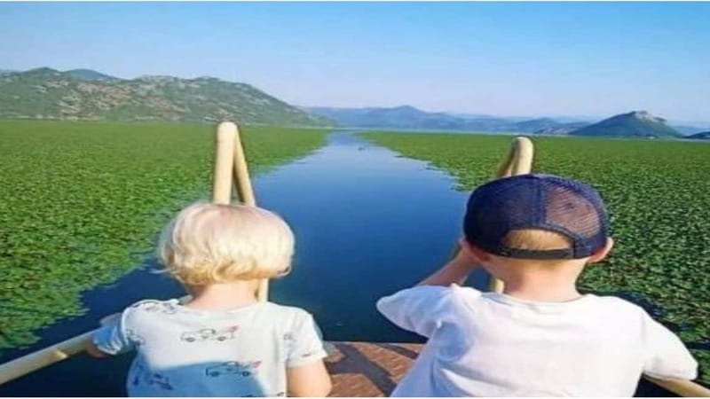 Skadar Lake: Discover the Extraordinary with Our Boat Tours - Who Would Love This Tour