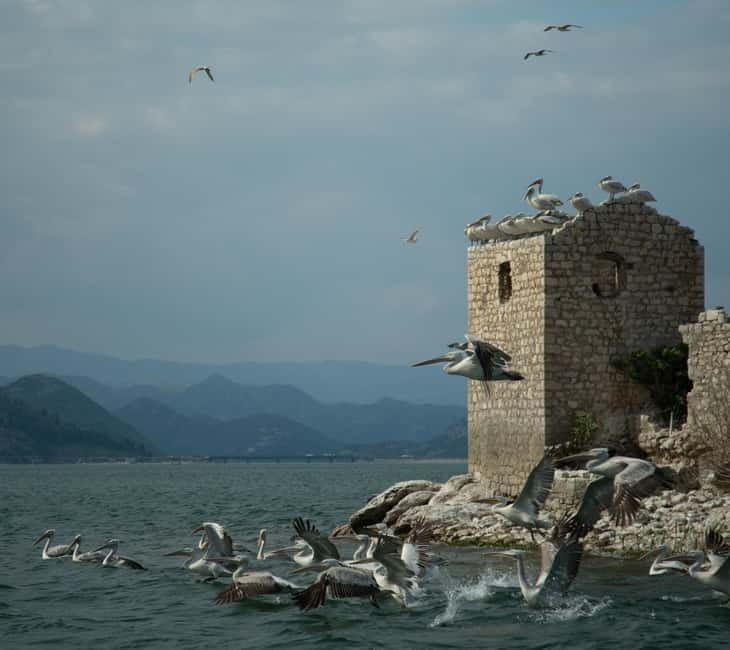 Skadar Lake: Individual Kayaking Experience - FAQ