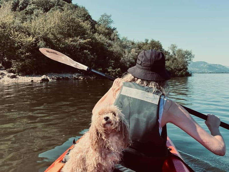 Skadar Lake: Kayak & Paddle board Rental - Practicalities: Duration, Equipment, and Cost