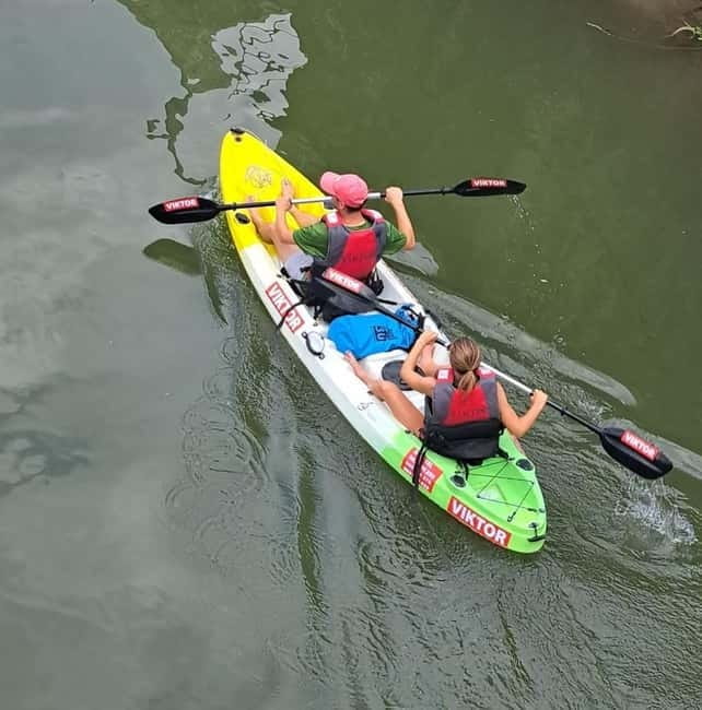 Skadar Lake kayak rent: A Journey Through Tranquility - Key points / Takeaways