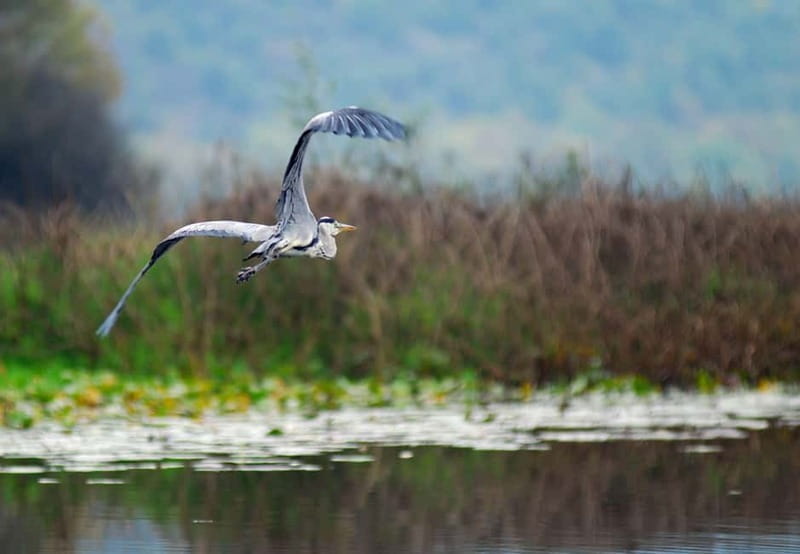 Skadar Lake Private Boat Tour with Wine Tasting - Who Will Love This Tour?