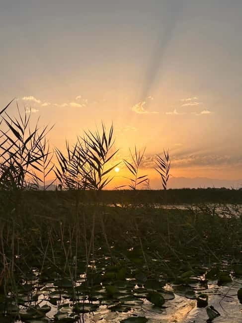 Skadar Lake Private Boat Tour with Wine Tasting - Final Thoughts: Is It Worth It?