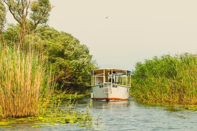 Skadar Lake Short Guided Tour: Discover the Montenegrin Alcatraz - The Itinerary: What You Can Expect