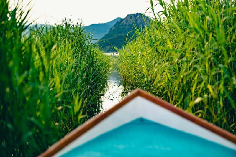 Skadar Lake Virpazar : Speed Boat Special ! - The Experience: What You’ll Love and What to Watch For
