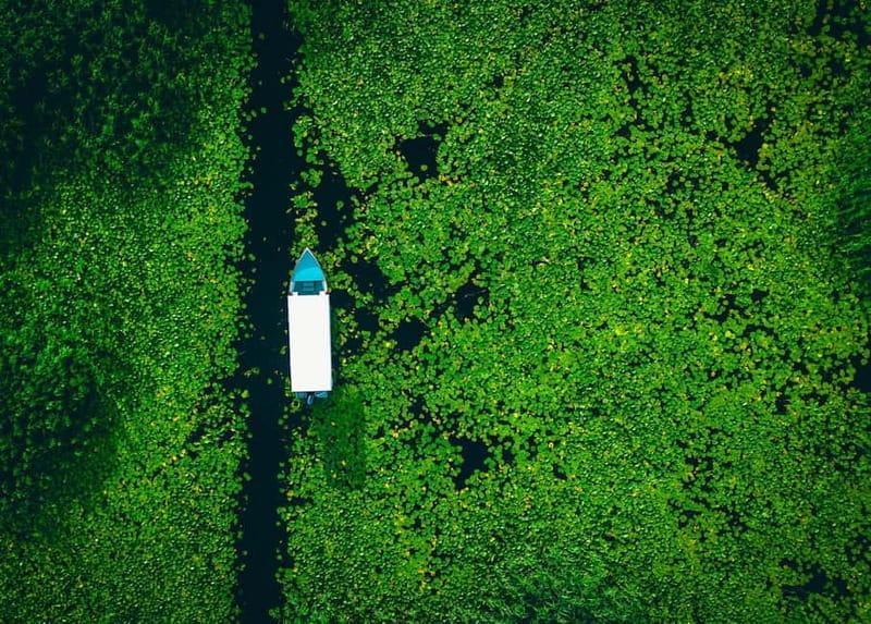 Skadar Lake Virpazar : Speed Boat Special ! - Frequently Asked Questions