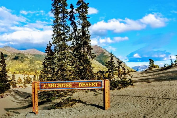 Skagway Shore Excursion: Full-Day Tour of the Yukon - Scenic Highlights