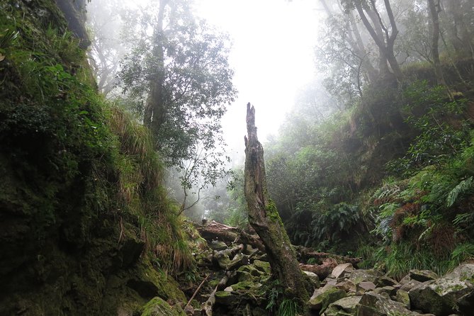 Skeleton Gorge to Table Mountain Summit - Meeting Point