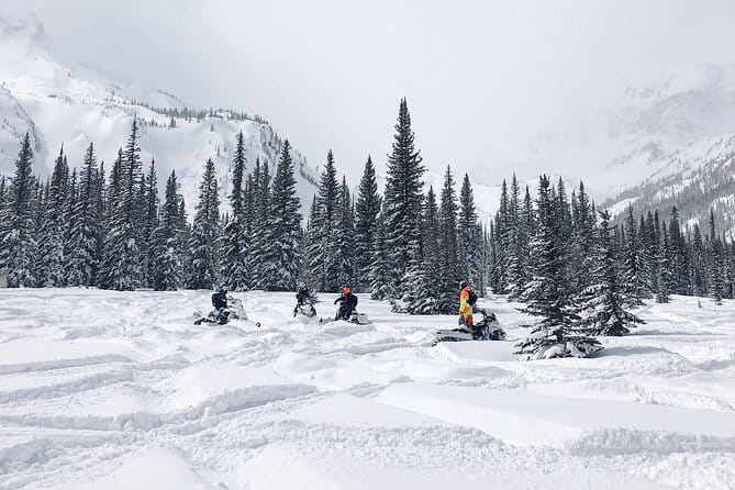 Ski-doo Snow Safari in Borovets - Price and Value Analysis