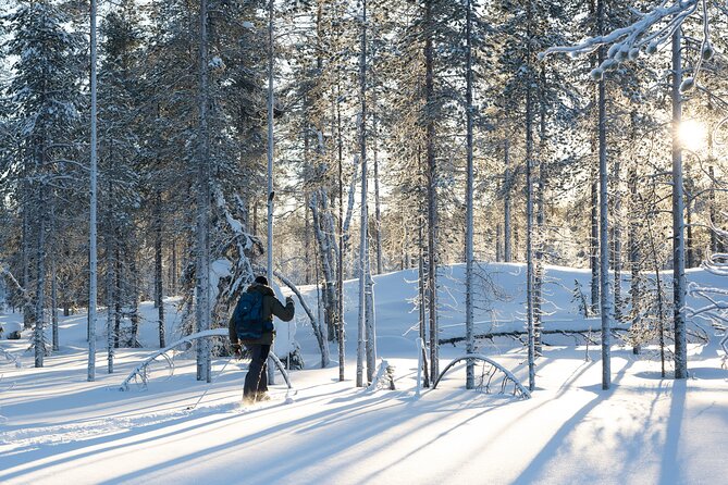 Ski Trek to the Wilderness - Extra Small Group - Overview and Details