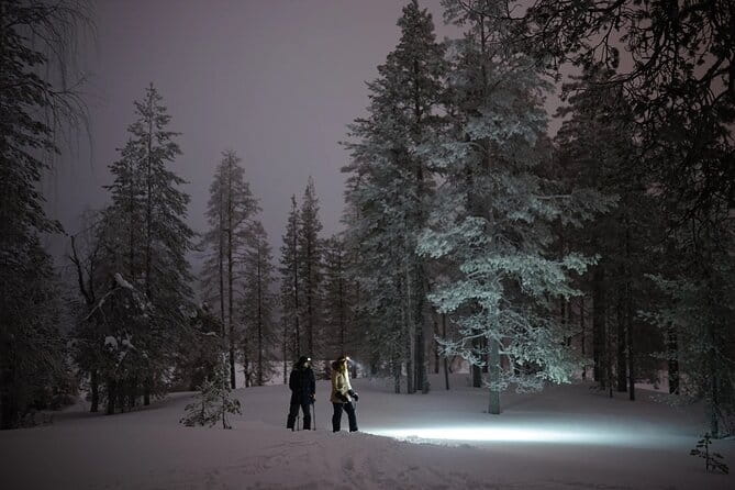Ski Trekking under the Northern Lights - Who Will Love This Experience?