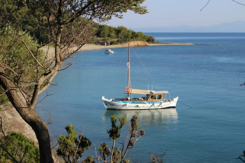 Skiathos: Boat Cruise with Dinner & Sunset Viewing - Who Will Love This Tour?