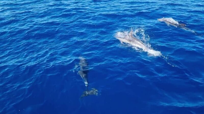 Skiathos private tours :Sailing day with lunch on board, - Practical tips for making the most of your day