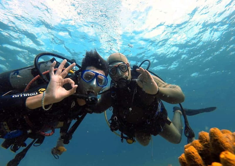 Skiathos Scuba Diving prive programme for absolute beginners - Frequently Asked Questions