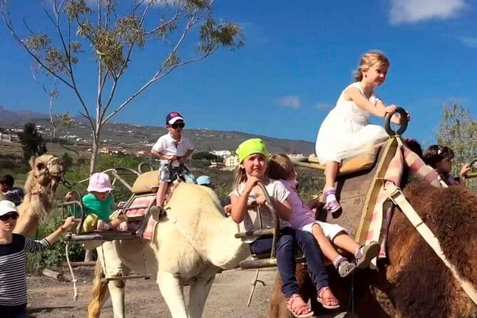 Skip the Line: Camel Park Tenerife Ticket - Key points / Takeaways