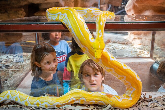 Skip the Line: Crocoparc Admission Ticket - Accessibility and Policies