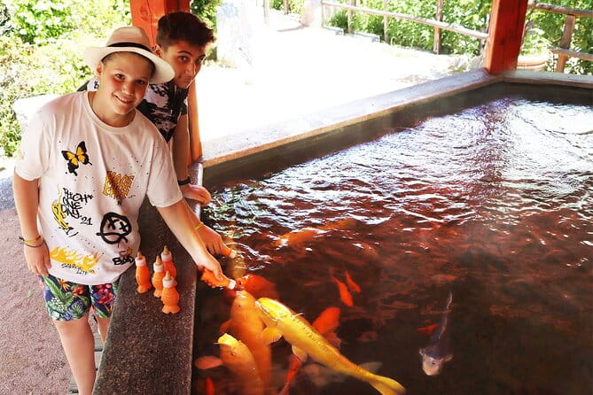 Skip the Line: Falconeria Locarno Ticket - Key Points