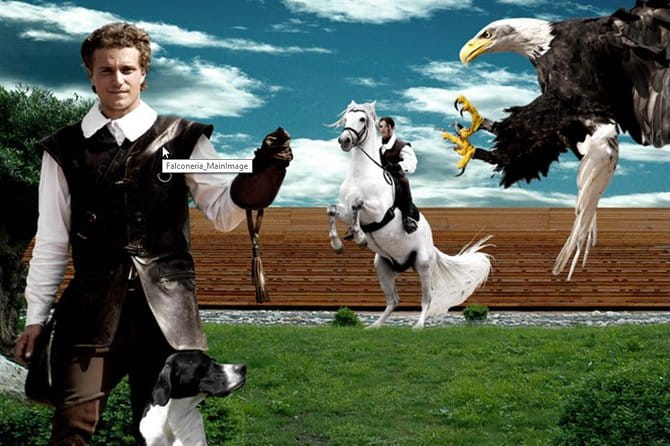 Skip the Line: Falconeria Locarno Ticket - In-Depth Review of the Falconry Experience in Locarno