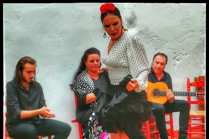 Skip the Line: Tablao Flamenco Pura Esencia Ticket - Accessibility and Accommodations