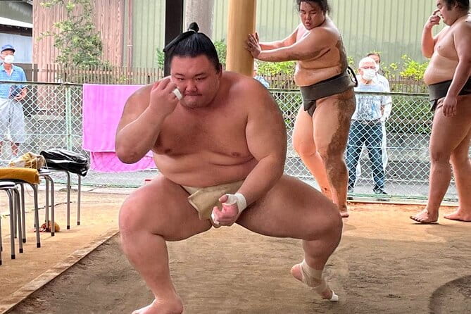 Skip the Line Ticket to Sumo Morning Practice at Nagoya - Key Points