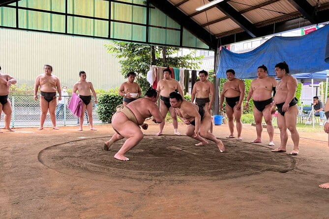 Skip the Line Ticket to Sumo Morning Practice at Nagoya - The Sum Up