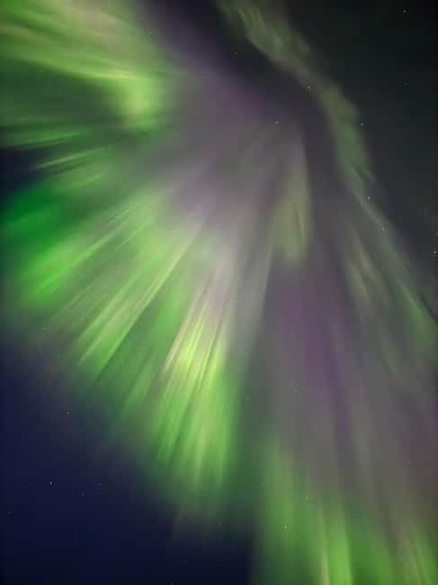 Skjervøy,North of Tromsø:Northern Lights Stargazing(Minivan) - Key points / Takeaways