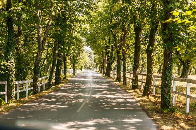 Skocjan caves, Piran & Predjama castle | Private trip from Ljubljana - Frequently Asked Questions