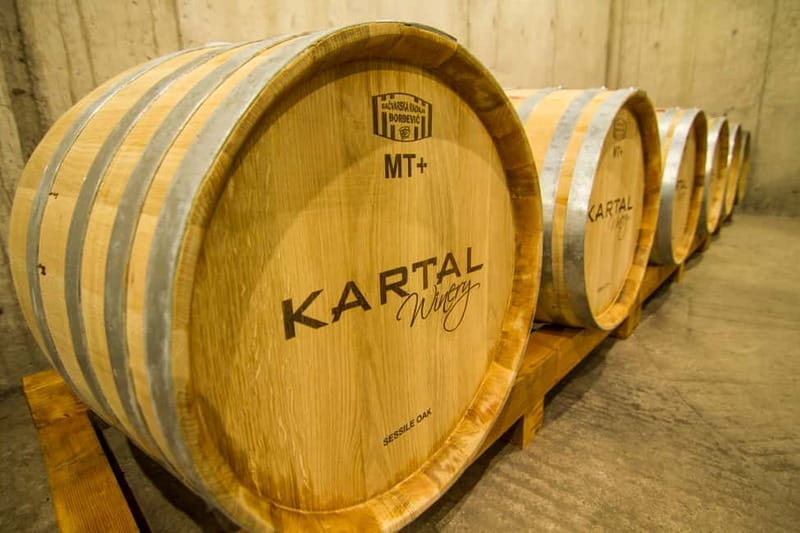 Skopje: Kartal Winery Tour - Visiting Kartal Winery: A Practical Guide
