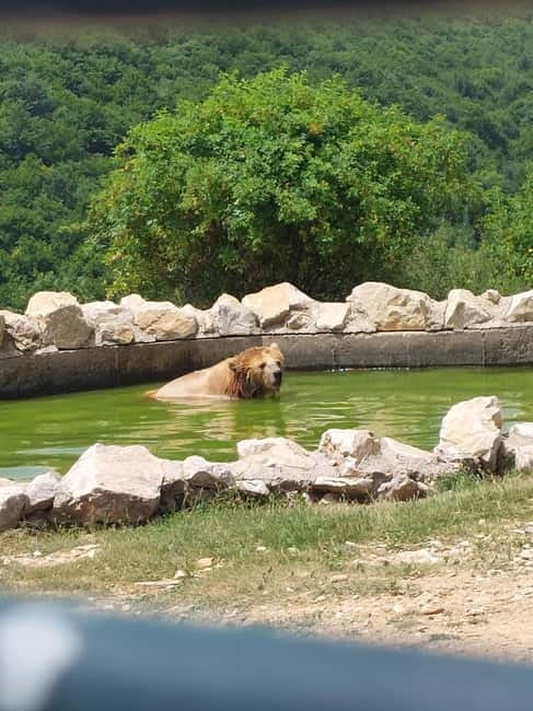 Skopje: Prishtina, Gracanica Monastery & Bear Sanctuary Trip - Price and Value